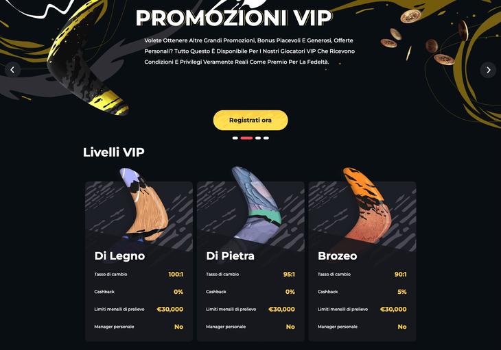 Programma VIP